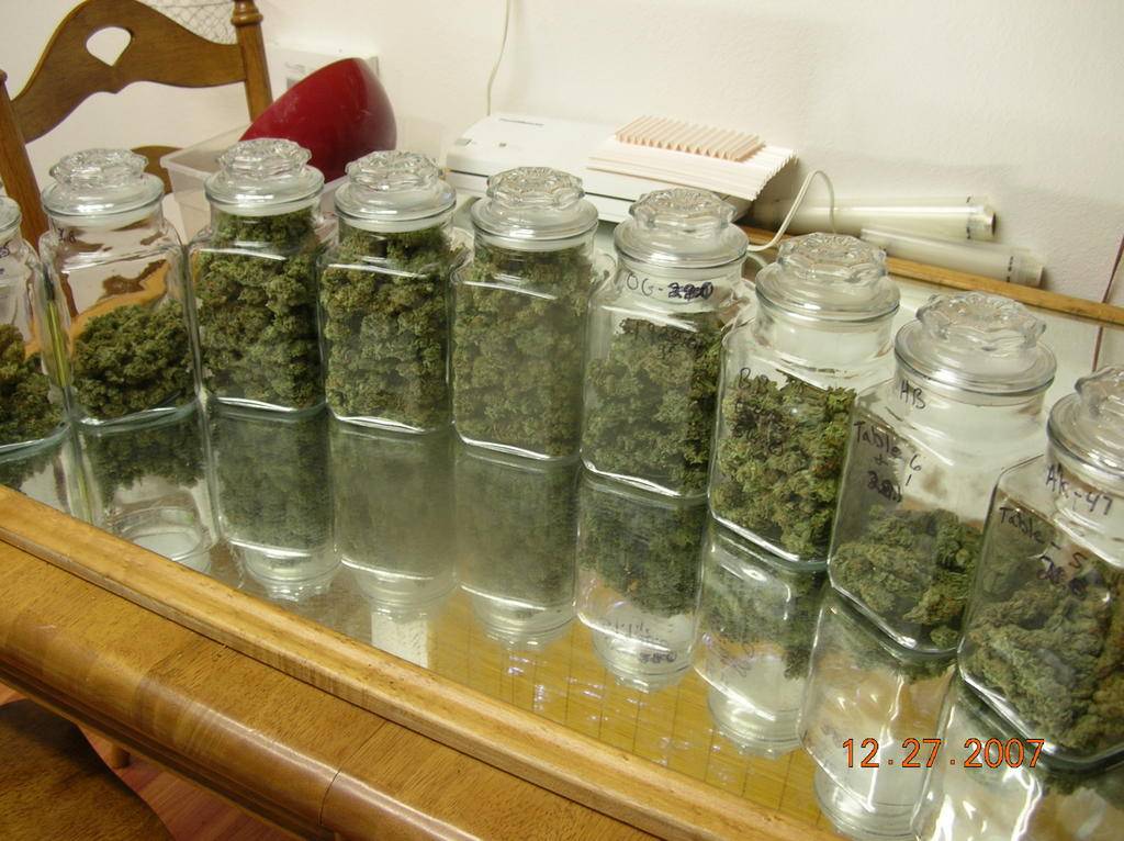 Curing lids for mason jars – Cannabis & Growing: Main Forum – Coco For  Cannabis Forum