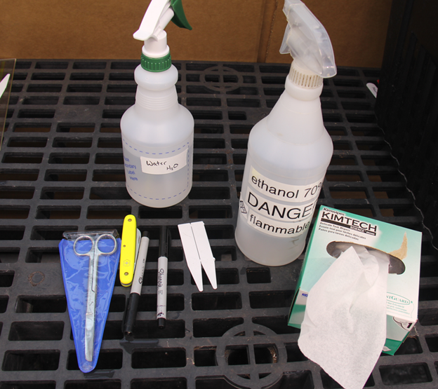 Common cloning tools and supplies