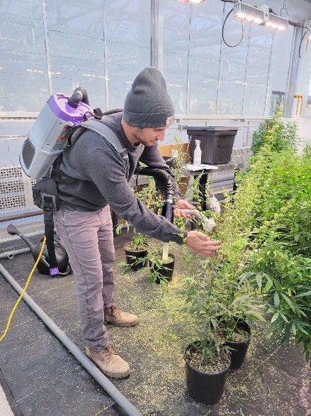 Figure 1: Demonstration of pollen collection. Picture of Tony Barraco, by Anthony Rampulla.