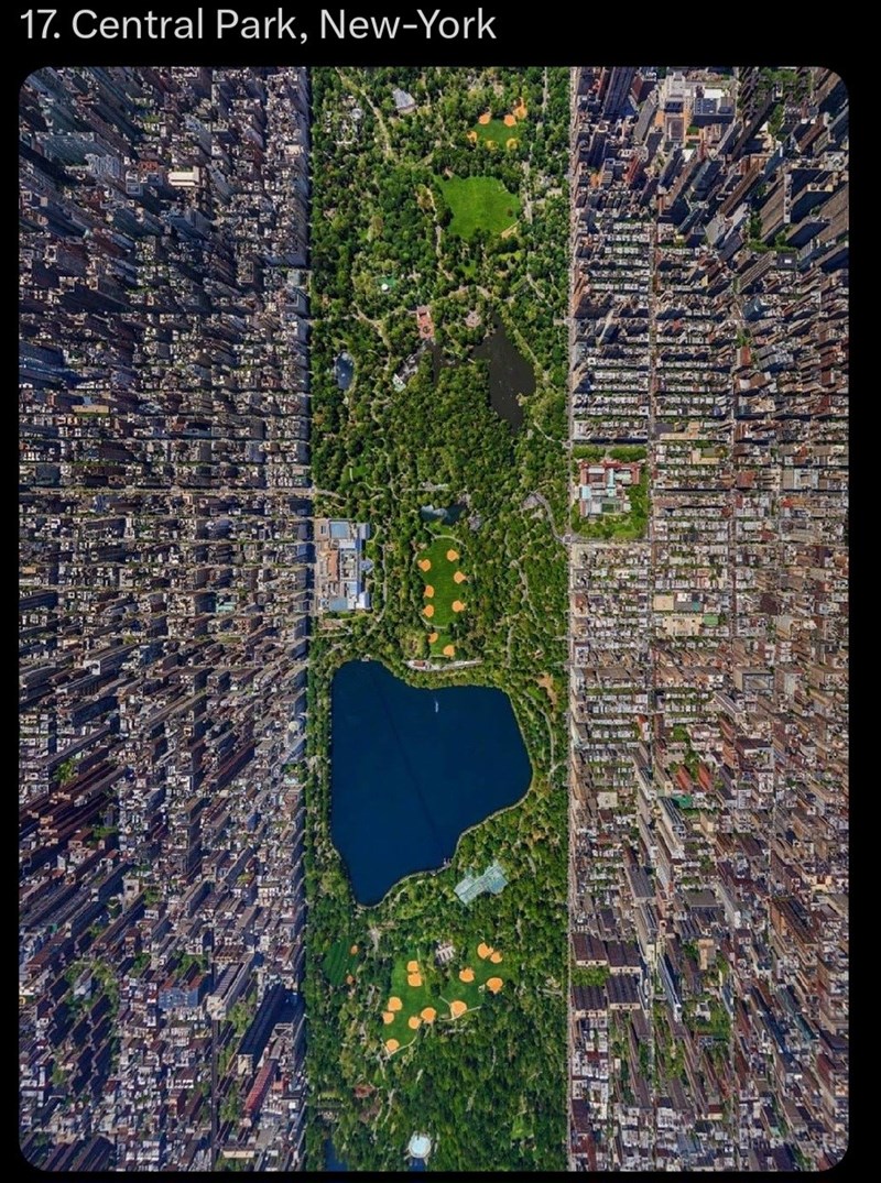 17-central-park-new-york-rensor.jpeg