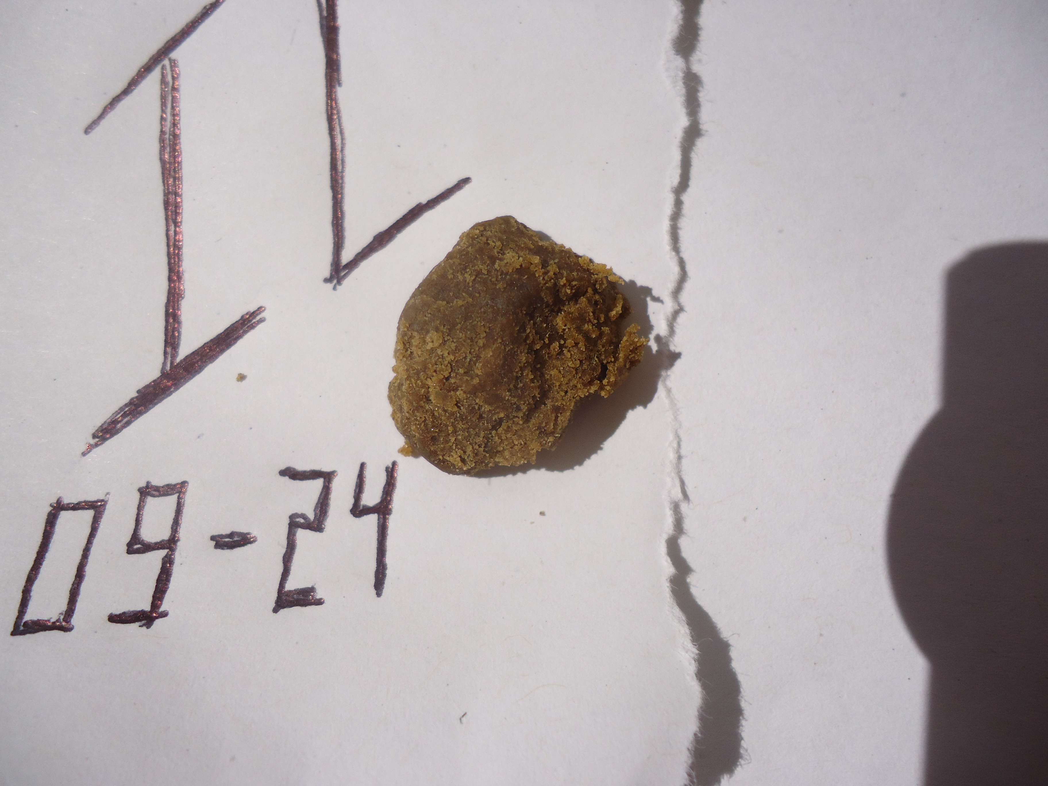 3 Frozen Static High Grade Supposedly From Morocco From Coffeeshops, September, 2024.JPG