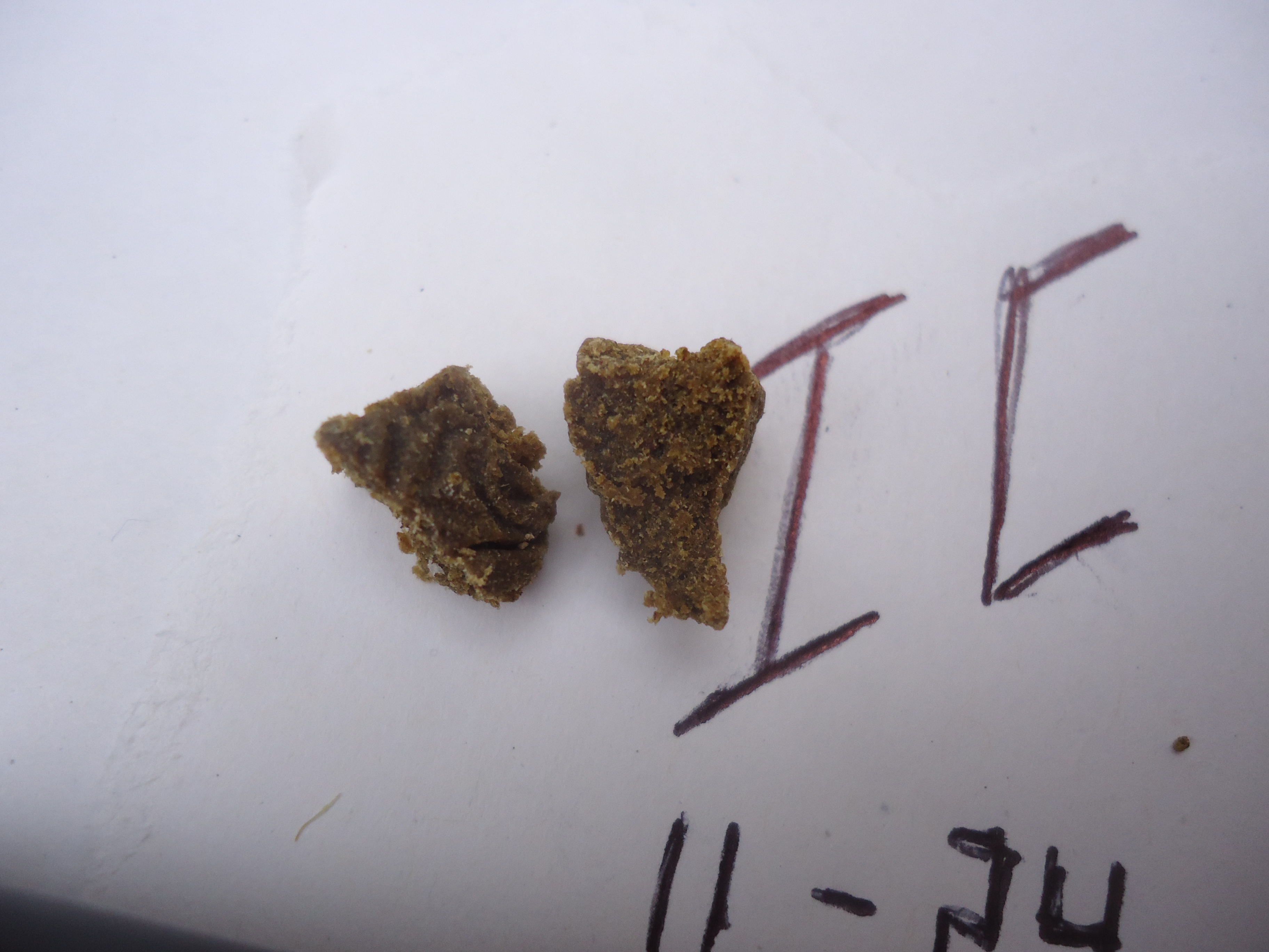 4 High Grade With Foreign Genetics Supposedly From Morocco From Coffeeshops, November, 2024.JPG