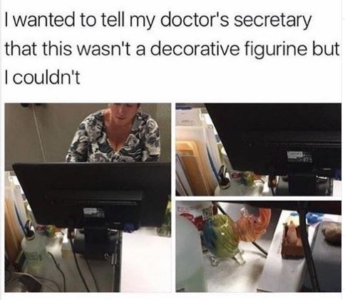 420-memes-of-a-secretary-that-thought-a-bong-was-a-decorative-piece.jpeg