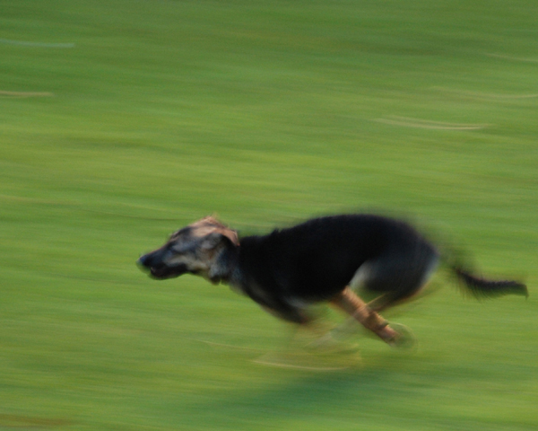 5 Lola running.jpg