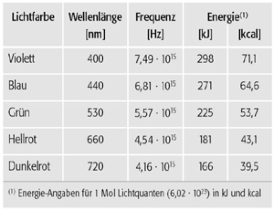 _licht_w.jpg