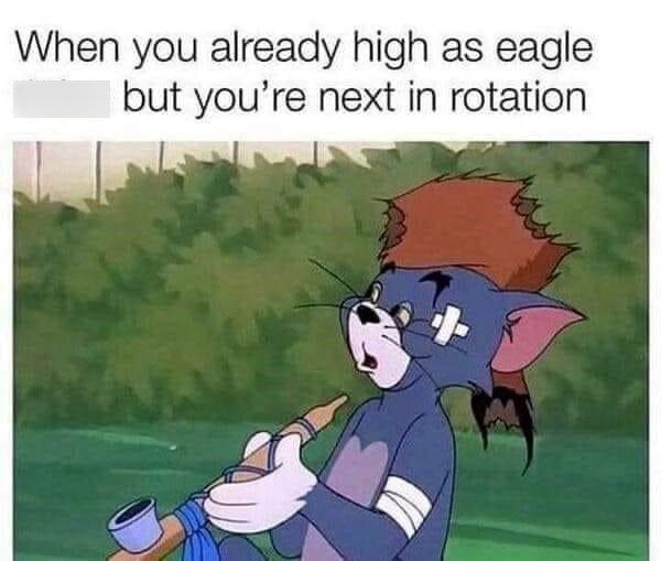 already-high-as-eagle-but-next-rotation.jpeg