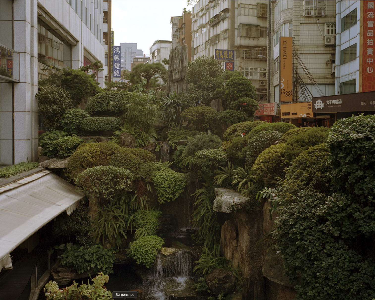 An urban jungle in Taipei, Taiwan .png