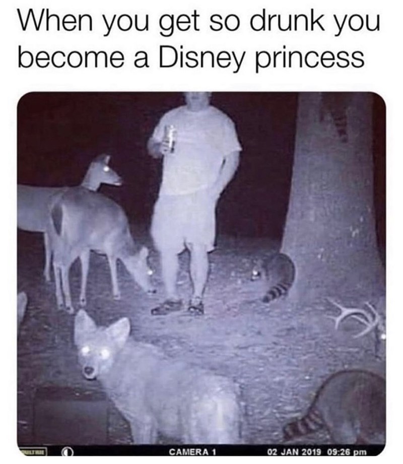 animal-get-so-drunk-become-disney-princess-ultrie-camera-1-02-jan-2019-0926-pm.jpeg