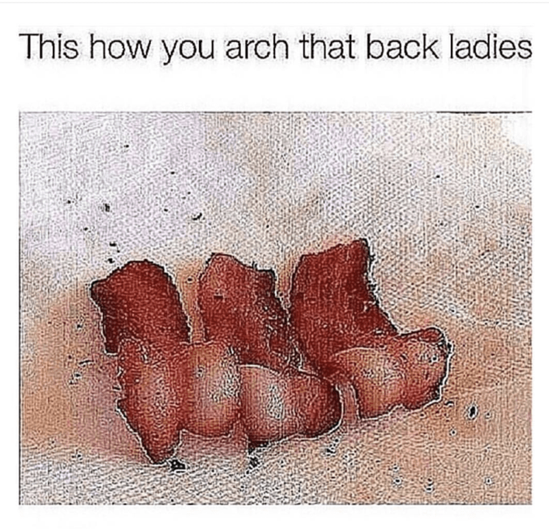 animal-this-arch-back-ladies.png