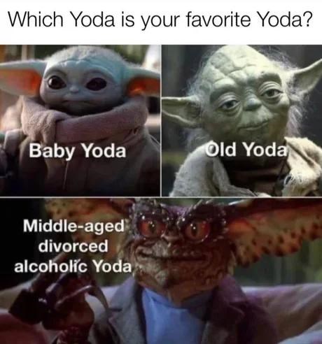 animal-which-yoda-is-favorite-yoda-baby-yoda-middle-aged-divorced-alcoholic-yoda-old-yoda.jpeg