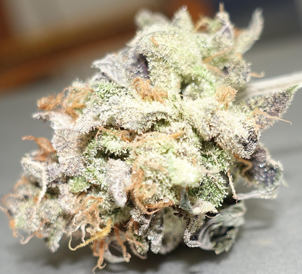 BDB1drynug.jpg