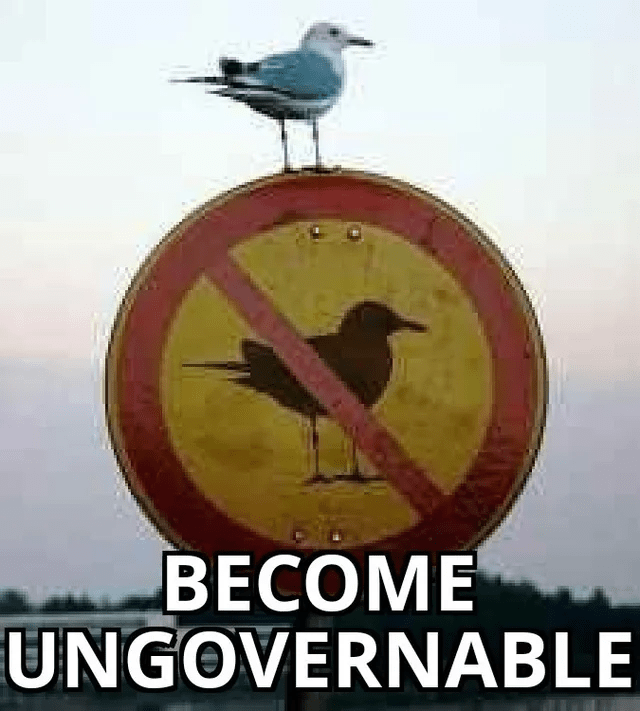 become-ungovernable.png