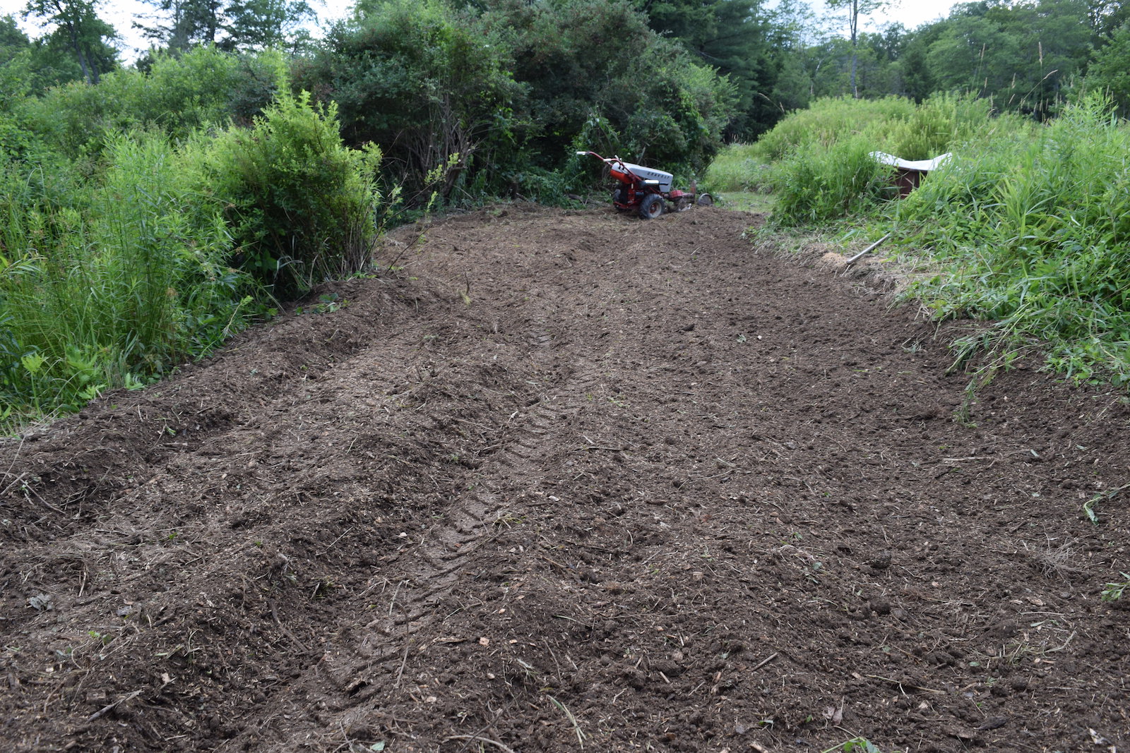 bed 4 build ready for perlite and minerals.JPG