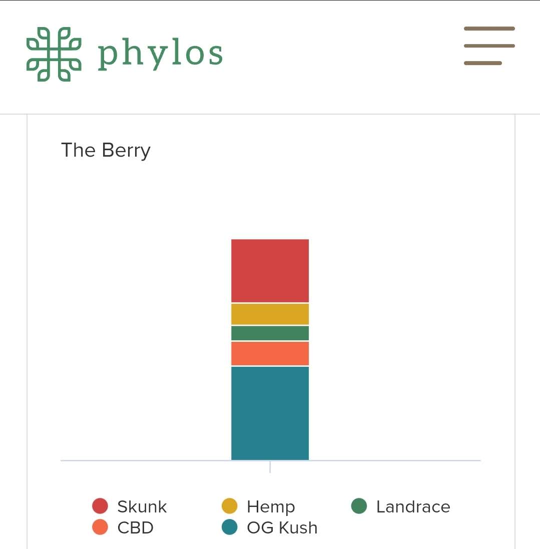 Berryphylos2.jpg