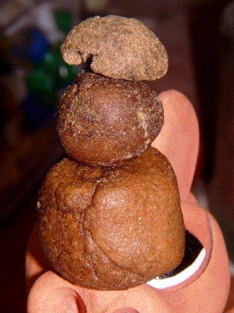 Bogglegum Bubble Hash.jpg