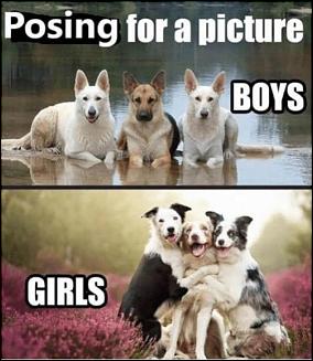 Boys vs girls pictures.png.jpg