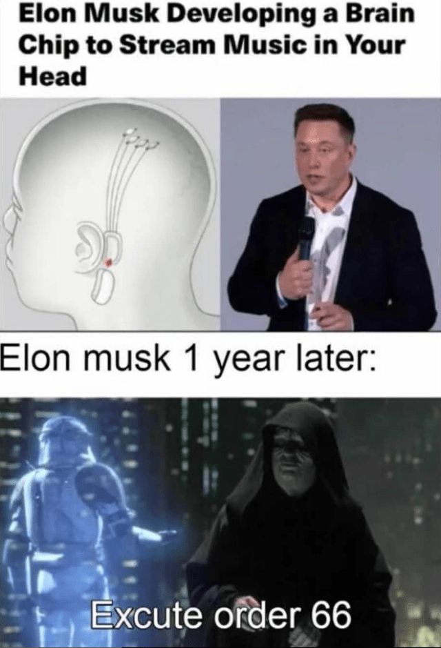 brain-elon-musk-developing-chip-stream-music-head-elon-musk-1-year-later-fir-excute-order-66.png