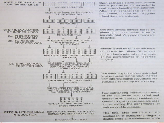 breeding-methods-in-cross-pollinated-crops-40-638.jpg