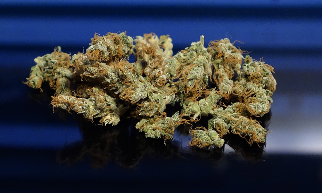 bud-dried-s.jpg