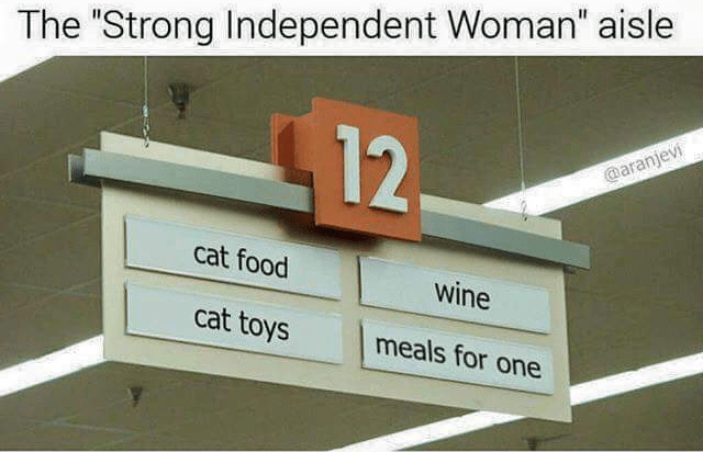 building-strong-independent-woman-aisle-12-aranjevi-cat-food-wine-cat-toys-meals-one.png