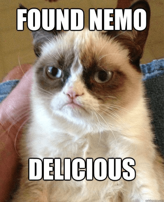 cat-found-nemo-delicious-quickmemecom.png