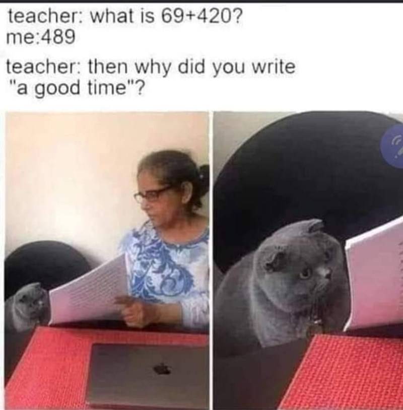 cat-teacher-is-69420-489-teacher-then-why-did-write-good-time.jpeg