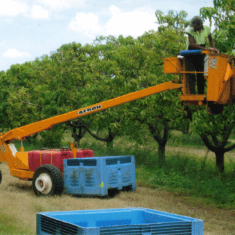 Cherry-Picker-Fruit-Picking-340x340.gif