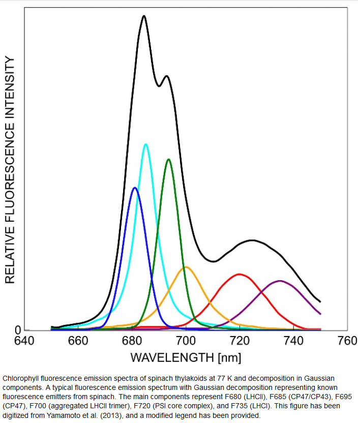 Chlorophyl fluooroscence emission.png