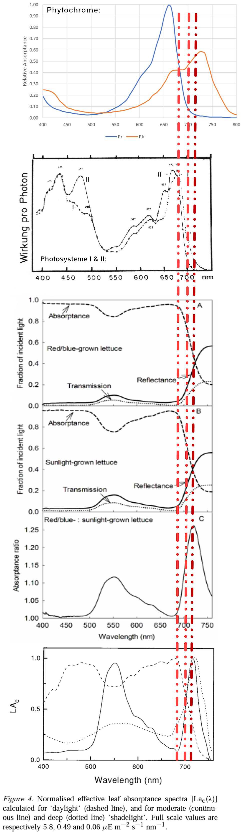 Comparison of Phytochrome, Photosystems and Leaf Reflectance Absorbance Transmittance in the 6...png