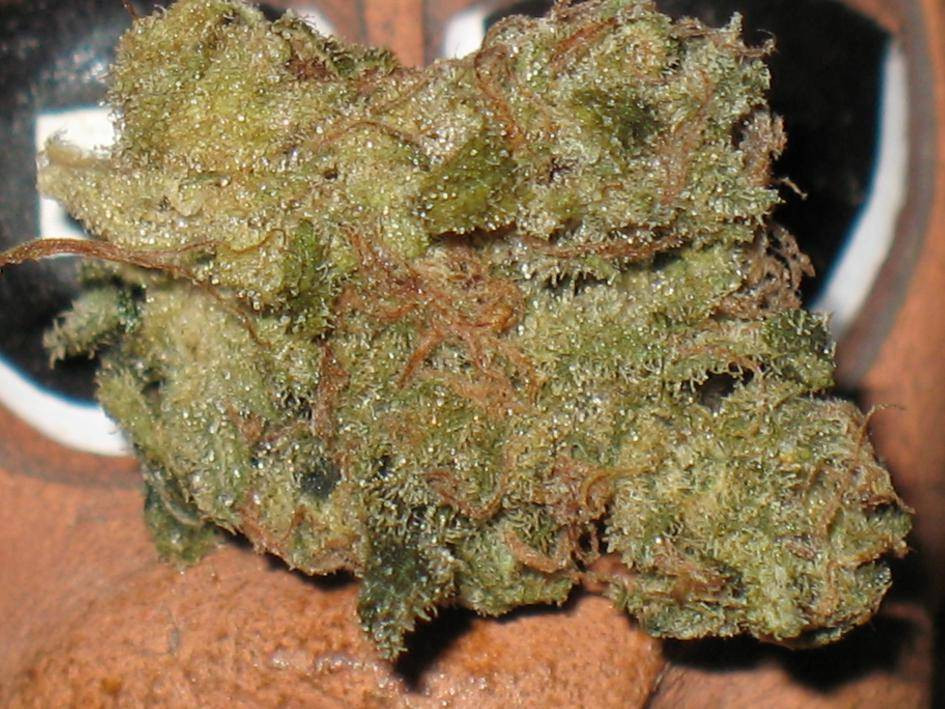 Click image for larger version Name:	Hawaiian Nuken Sativa.jpg Views:	0 Size:	212.9 KB ID:	18093707