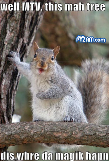 Cute Army Squirrel Funny Squirrel Pictures (3).jpg