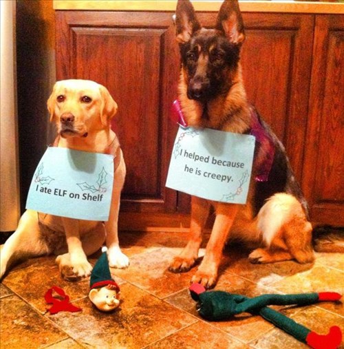 cute-dogs-christmas-funny-crime-elf-on-a-shelf-7965702656.jpeg