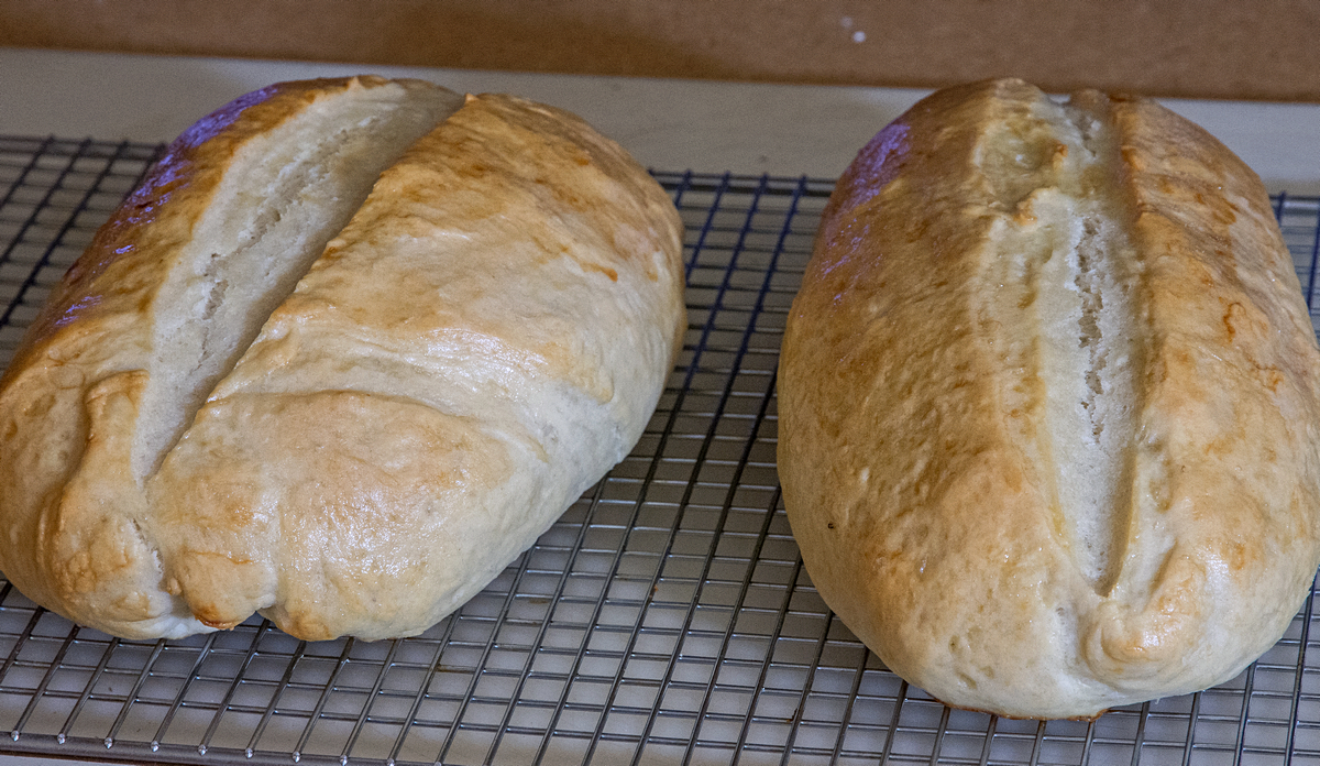 Day 71 Crusty Italian Bread 2 Oct 2023.jpg