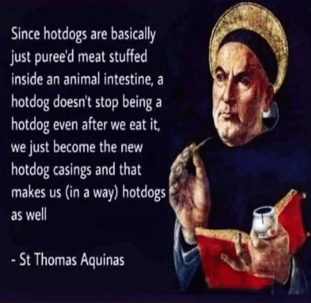 even-after-eat-just-become-new-hotdog-casings-and-makes-us-way-hotdogs-as-well-st-thomas-aquinas.png