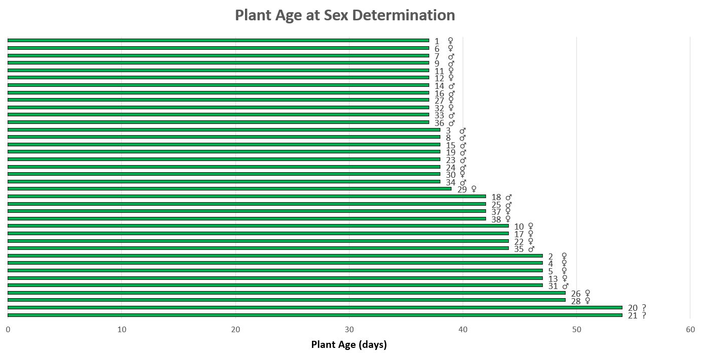 Excel chart preflower time 0816.jpg