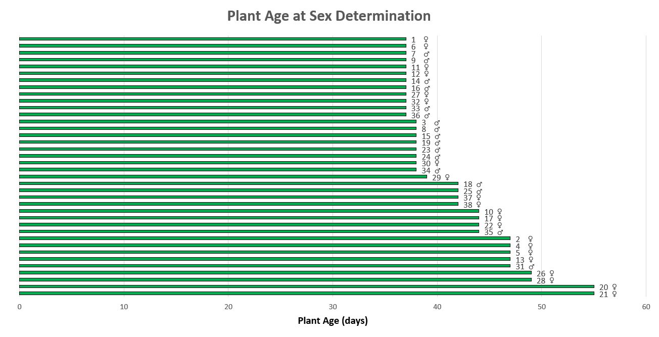 Excel chart preflower time 0817.jpg