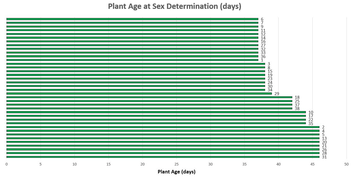 Excel chart preflower time.jpg