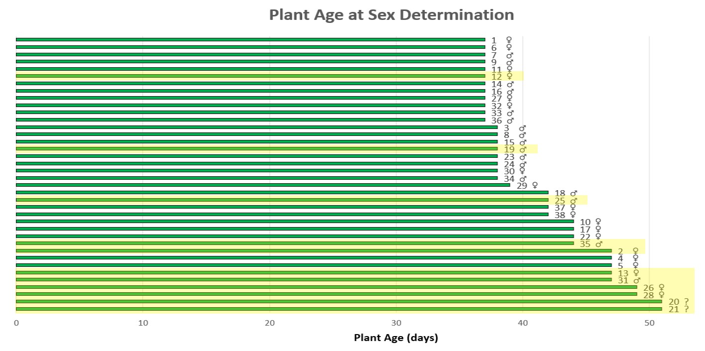 Excel chart preflower time.jpg