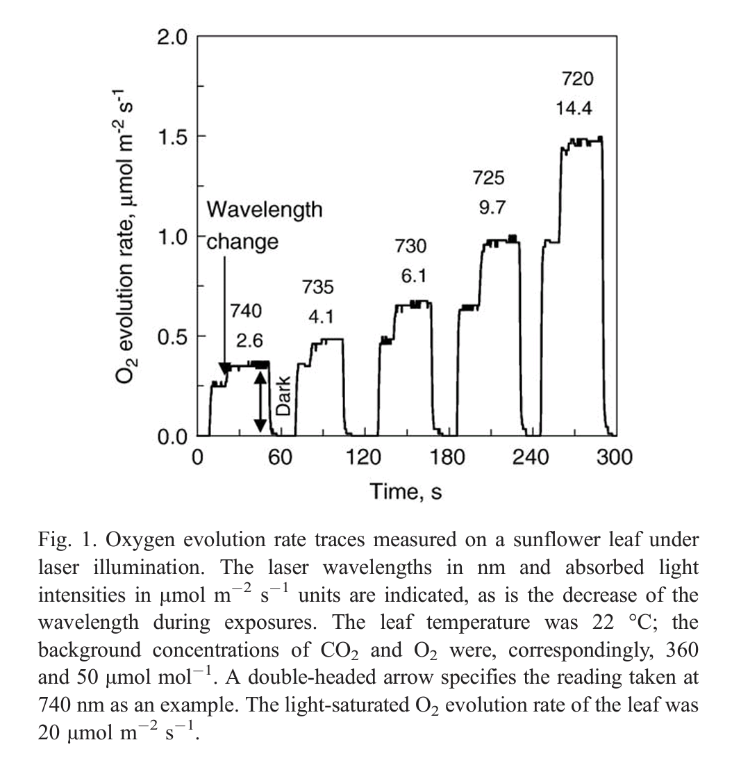 Far-red induced photosynthesis.png