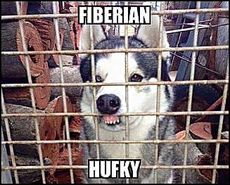 Fiberian Hufky.jpg