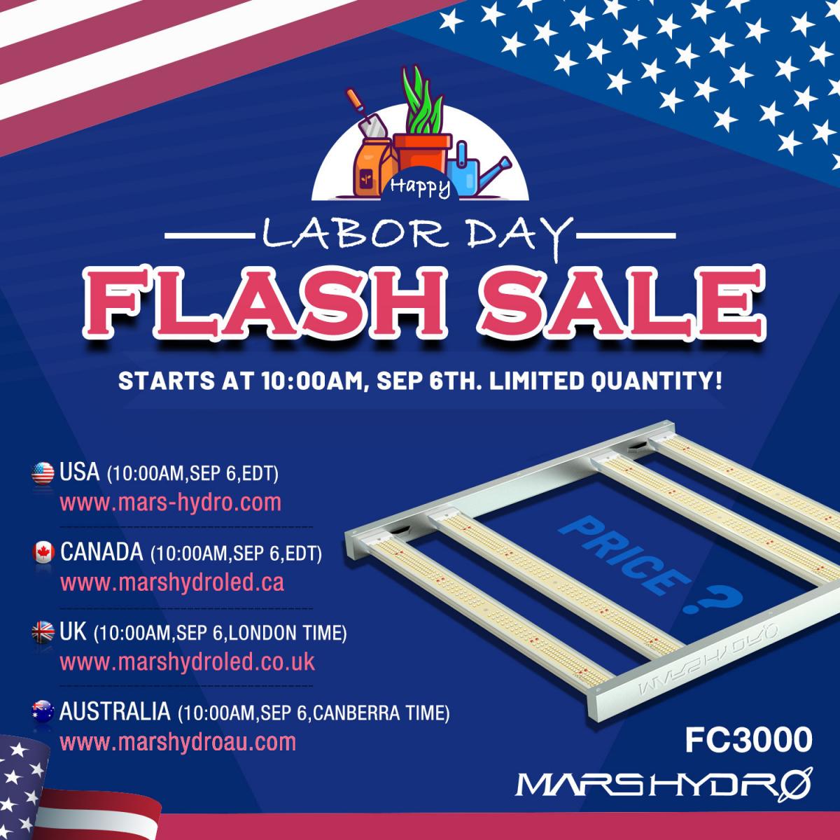 Flash sale.jpg