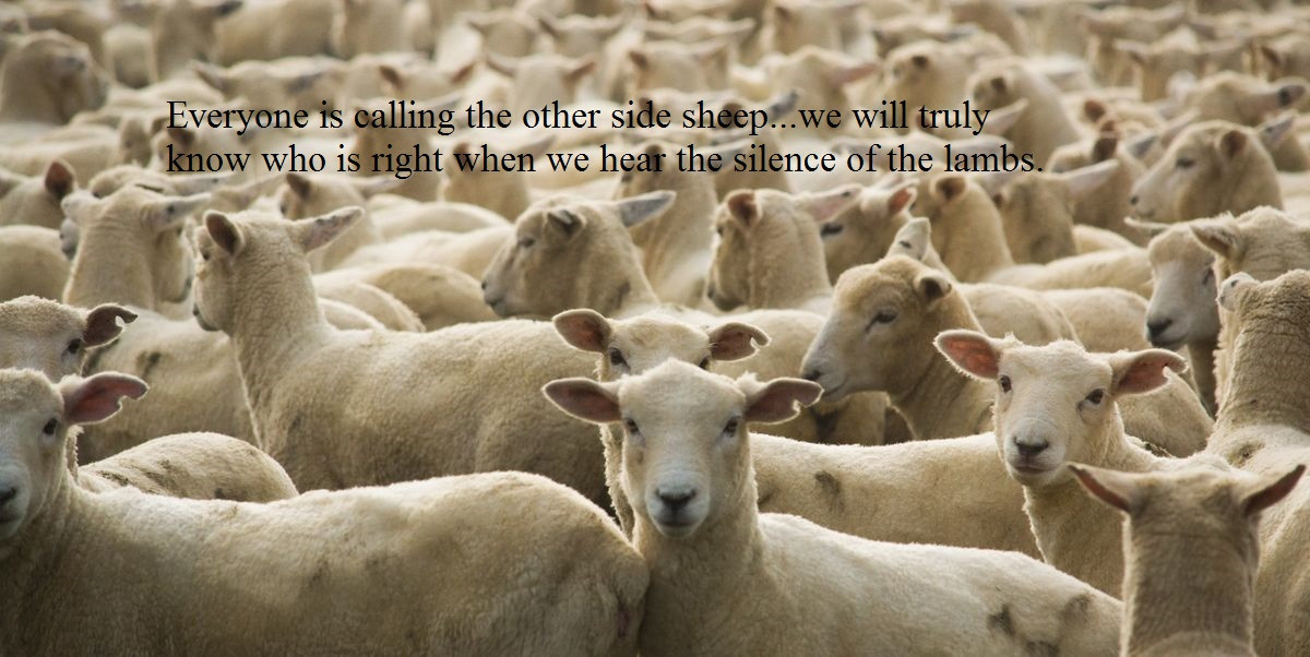 flock-of-sheep-royalty-free-image-1588670278.jpg