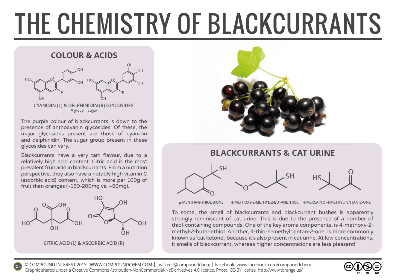 Food-Chemistry-–-The-Chemistry-of-Blackcurrants (1).png