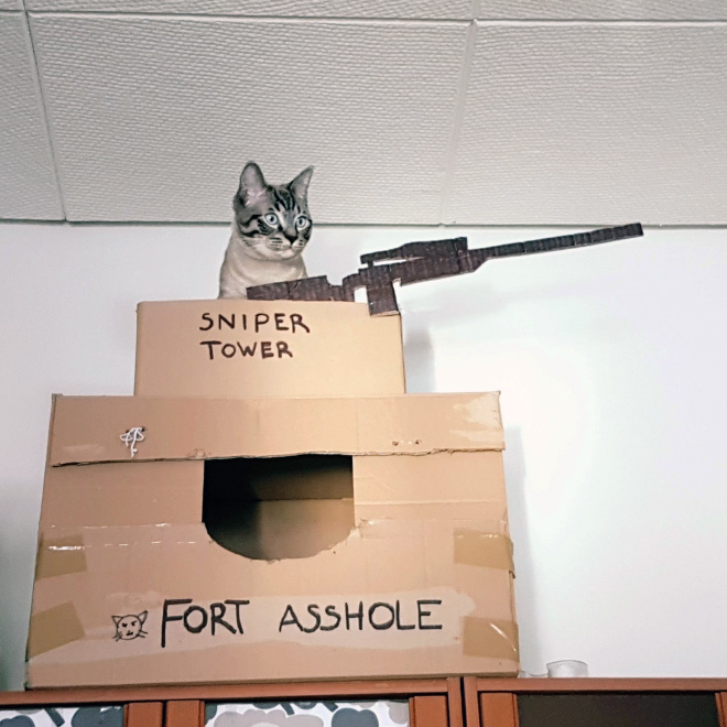 fort asshole.jpg