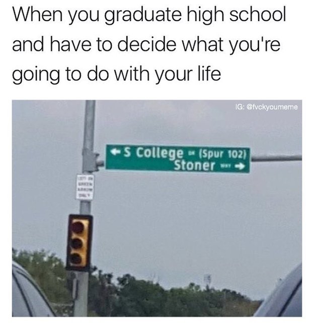 funny-meme-about-choosing-whether-to-go-to-college-or-to-become-a-stoner-after-high-school.jpg