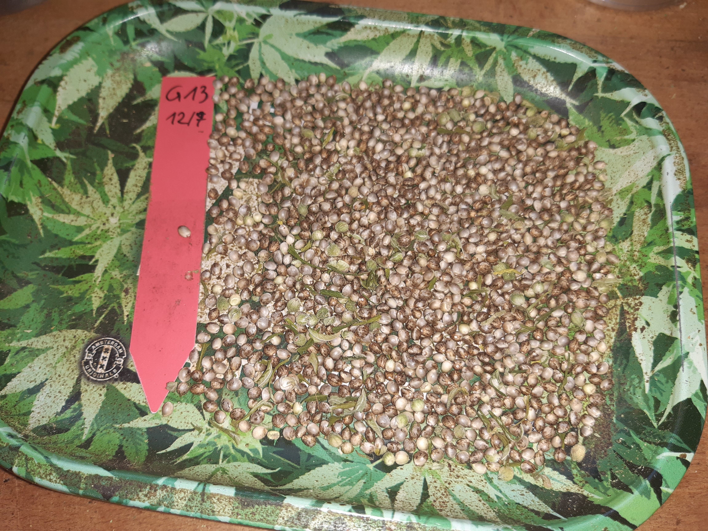 G13xPCK_seeds.jpg