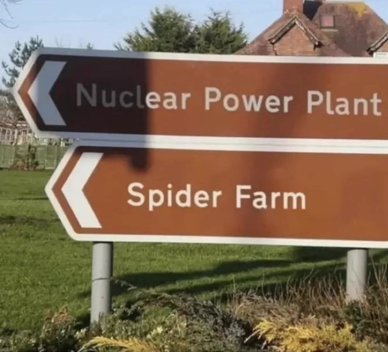 ga-nuclear-power-plant-spider-farm.jpeg