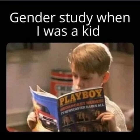 Gender studies.jpg