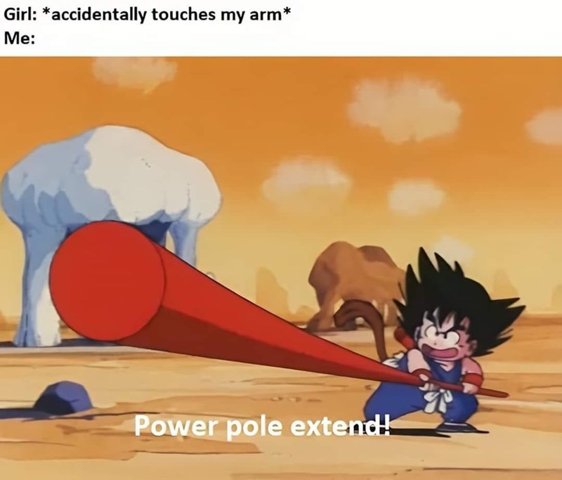 girl-accidentally-touches-my-arm-power-pole-extend.jpeg