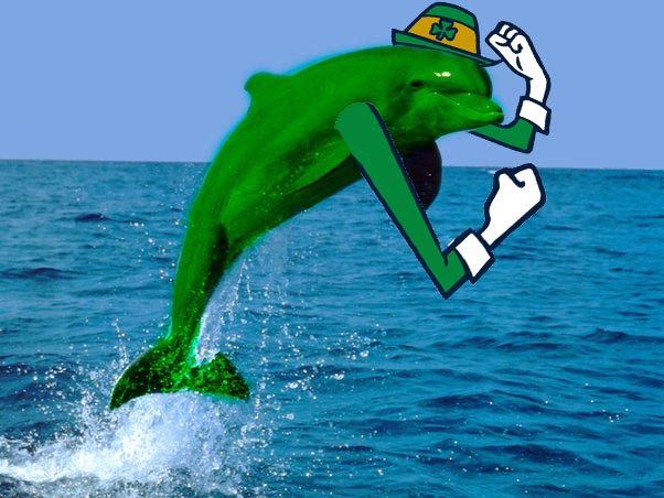 green dolphin.jpeg